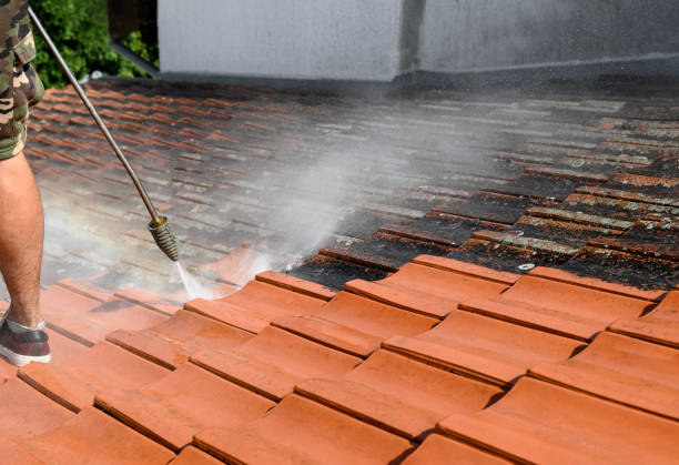 Best Fence Pressure Washing  in Beach Park, IL