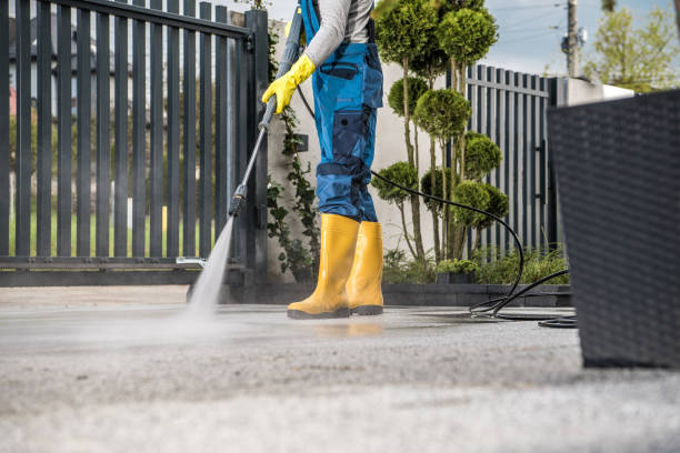 Best Roof Pressure Washing  in Beach Park, IL