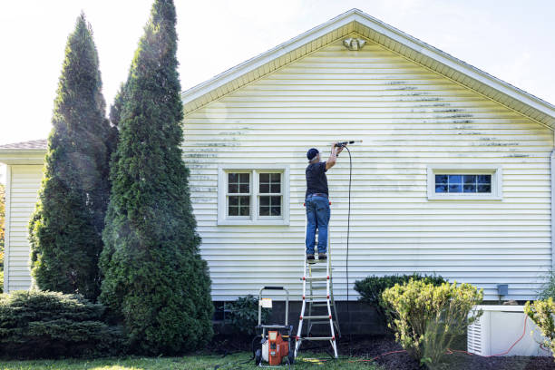 Best Concrete Pressure Washing  in Beach Park, IL
